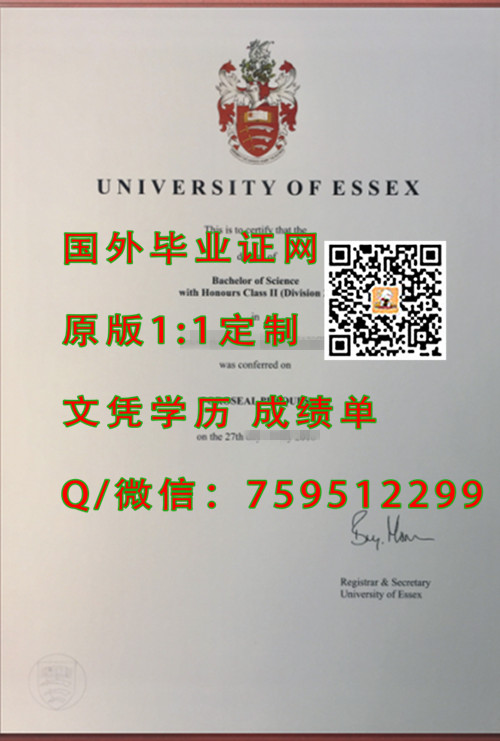 ˹ѧҵ֤,University of Essexƾ